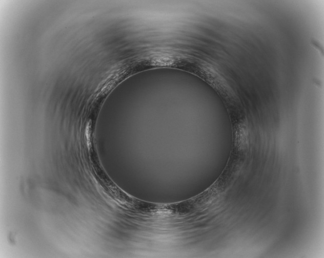 X0000100920598200807011308