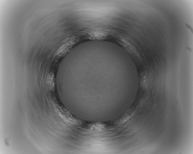 X0000100920599200807011308