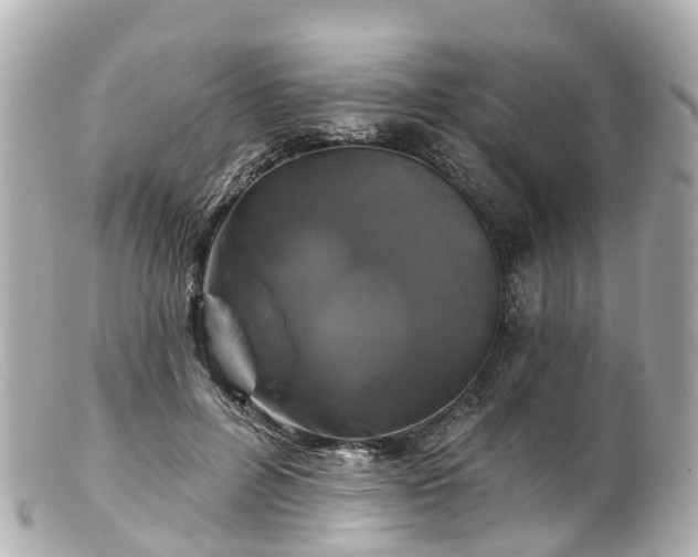 X0000100920600200807011308