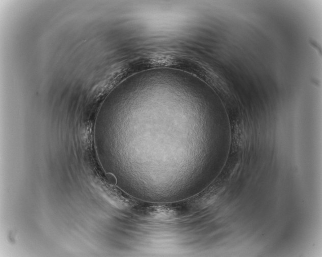 X0000100920601200807011308