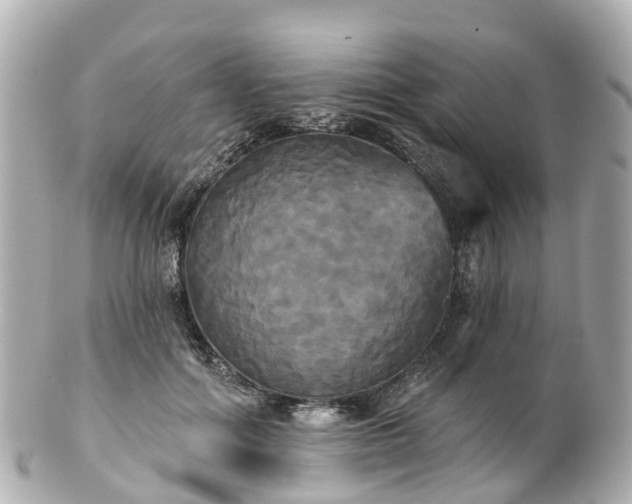 X0000100920602200807011308