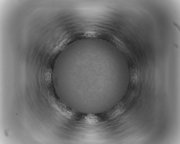 X0000100920603200807011308