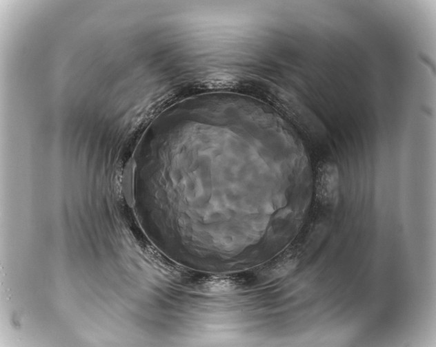 X0000100920604200807011308