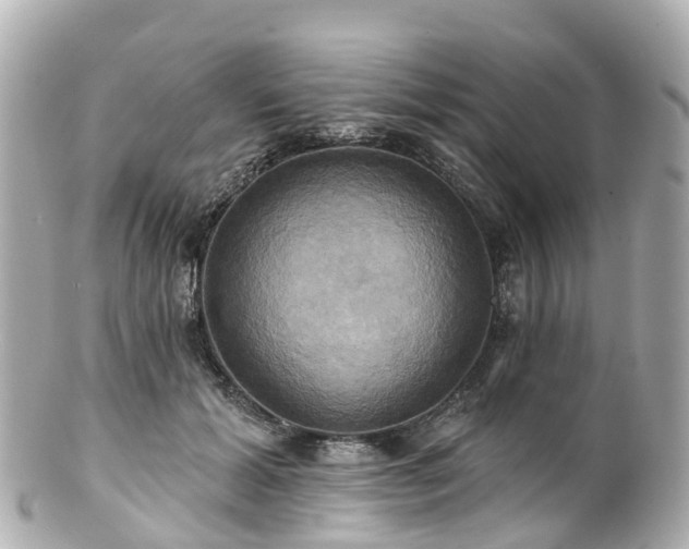 X0000100920605200807011308