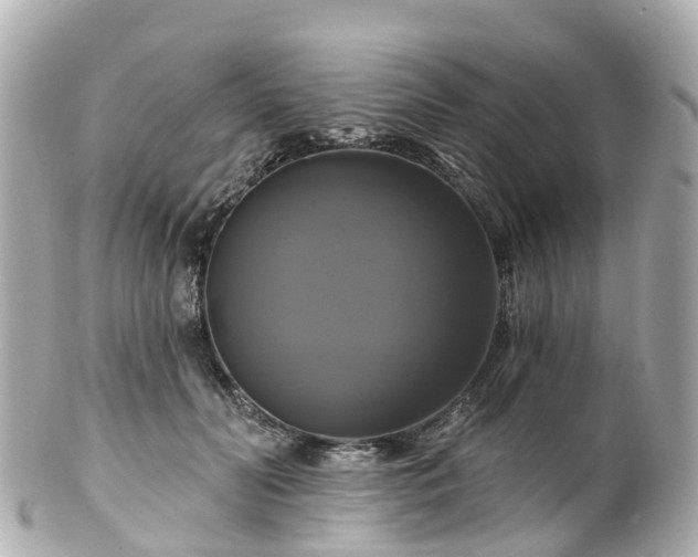 X0000100920606200807011308