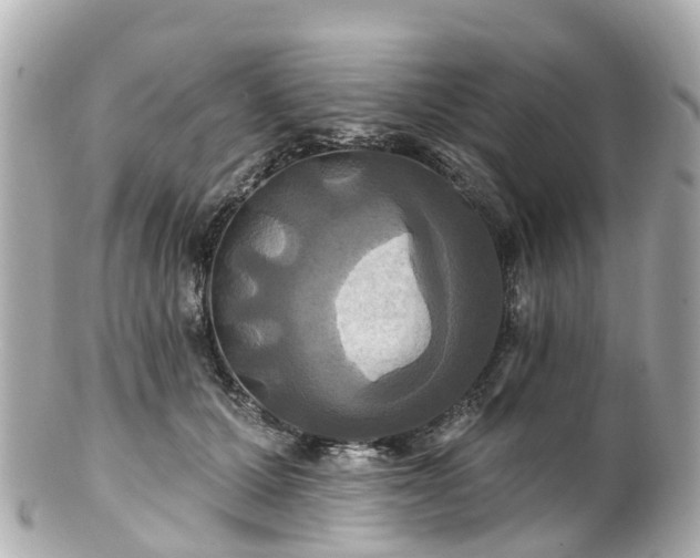 X0000100920607200807011308