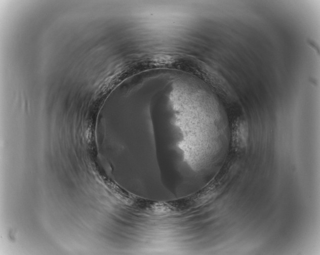 X0000100920608200807011308