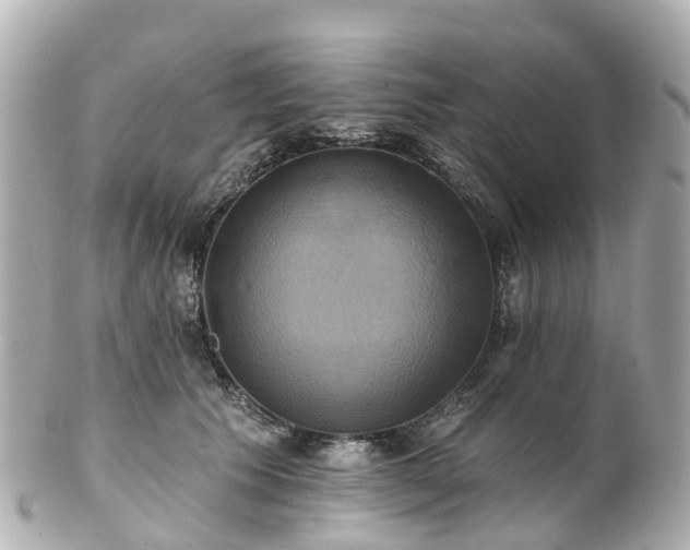 X0000100920609200807011308