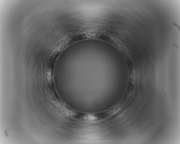 X0000100920610200807011308