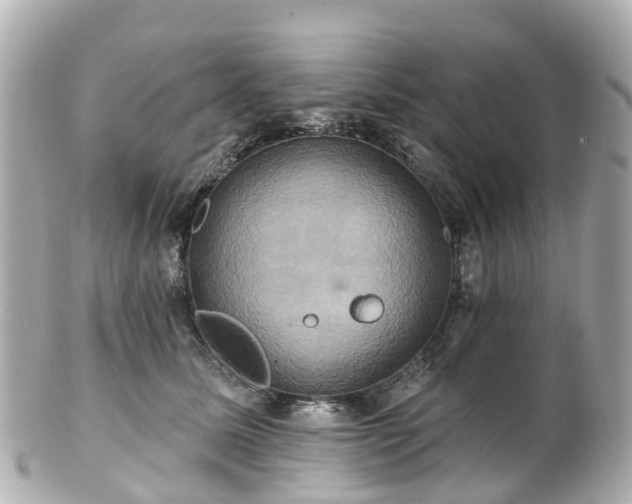 X0000100920611200807011308