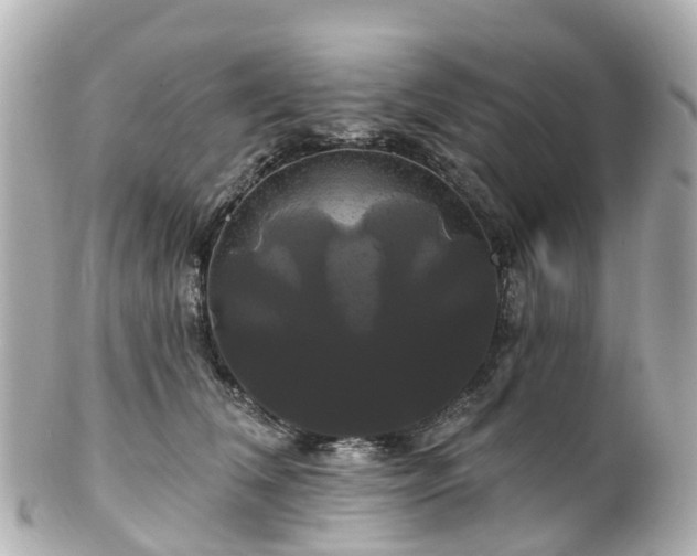 X0000100920612200807011308