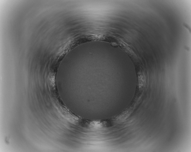 X0000100920613200807011308