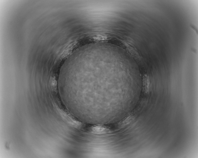 X0000100920614200807011308