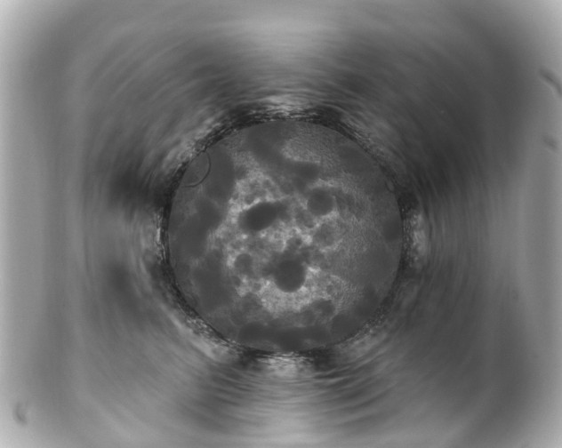 X0000100920615200807011308