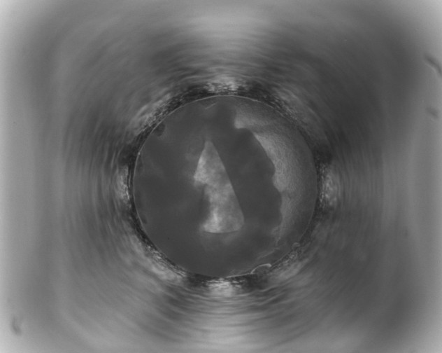 X0000100920616200807011308