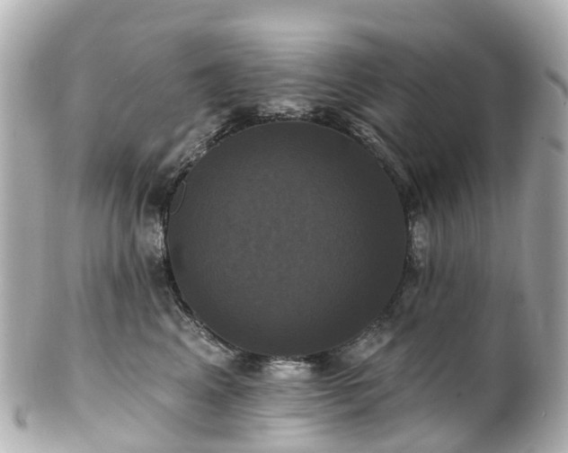 X0000100920617200807011308