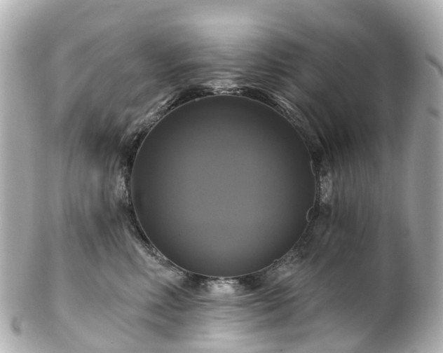 X0000100920618200807011308