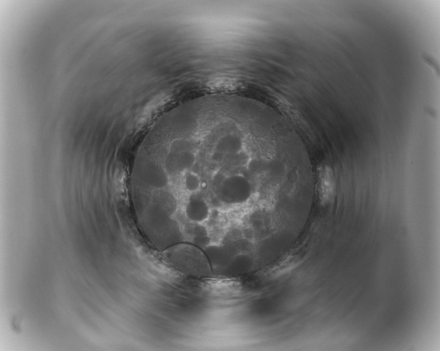 X0000100920619200807011308