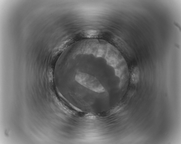 X0000100920620200807011308