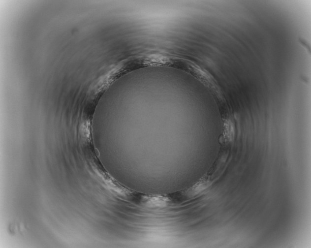 X0000100920621200807011308