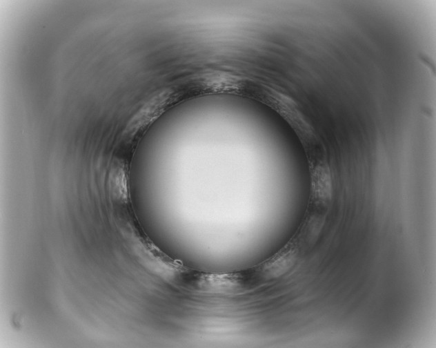 X0000100920622200807011308