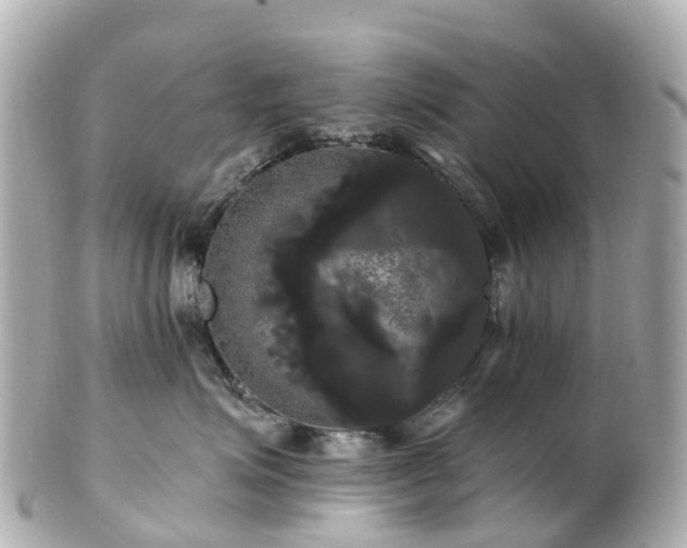 X0000100920623200807011308