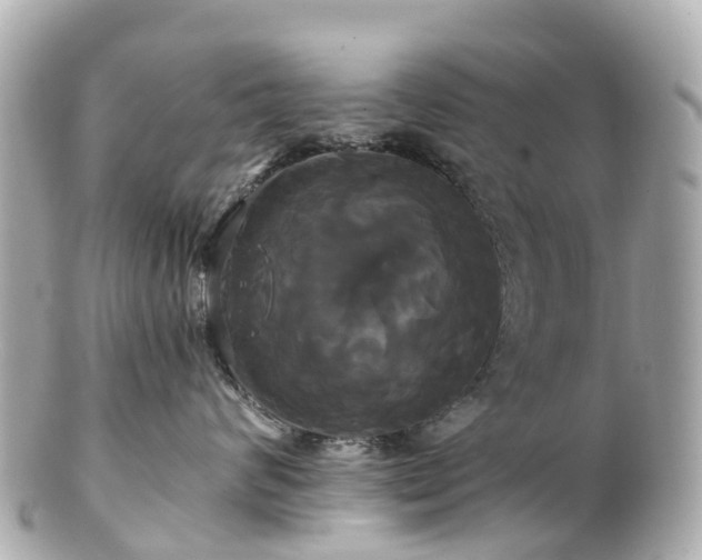 X0000100920624200807011308