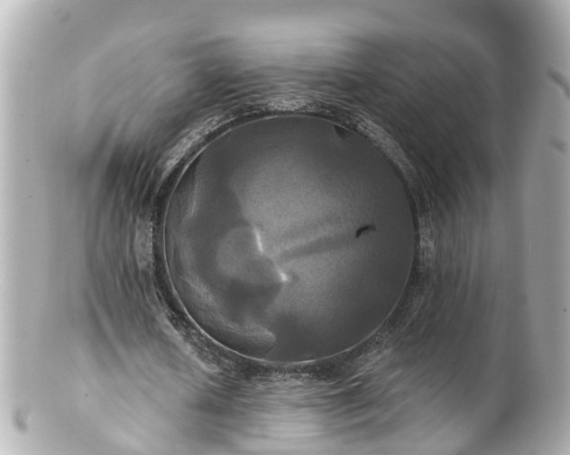 X0000100920626200807011307