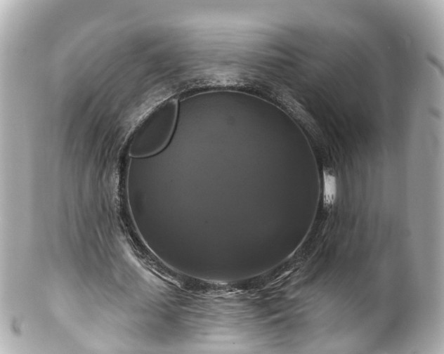 X0000100920627200807011307