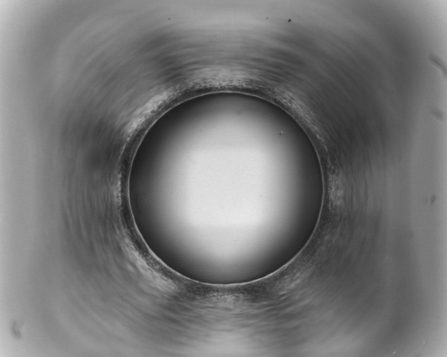 X0000100920629200807011307