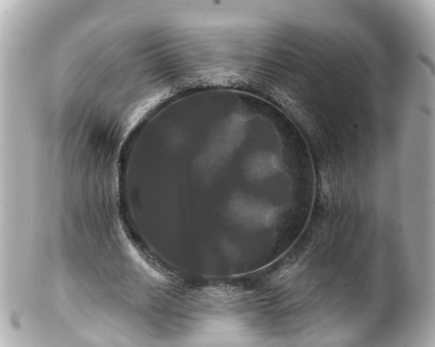 X0000100920630200807011307