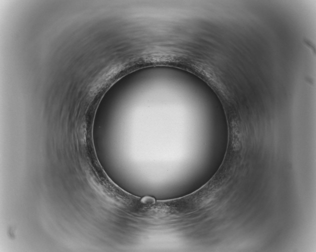 X0000100920631200807011307