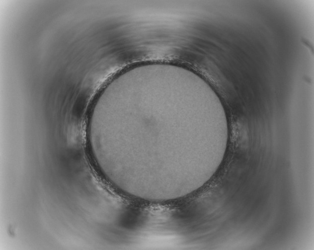 X0000100920632200807011307