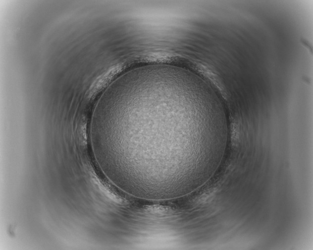 X0000100920633200807011307