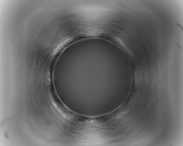 X0000100920634200807011307