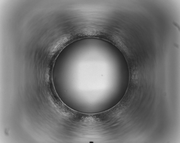 X0000100920635200807011307