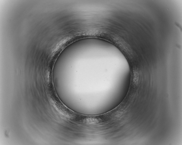 X0000100920636200807011307