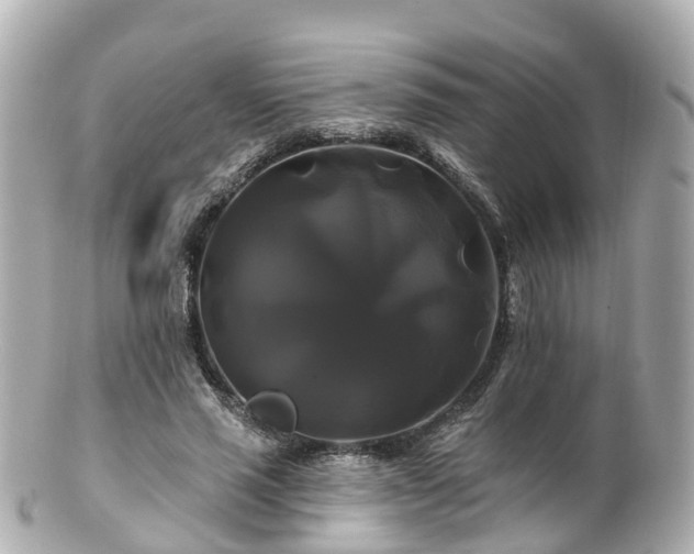 X0000100920637200807011307