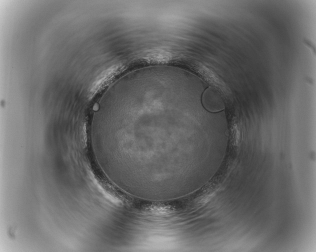 X0000100920638200807011307