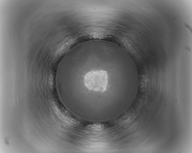 X0000100920639200807011307