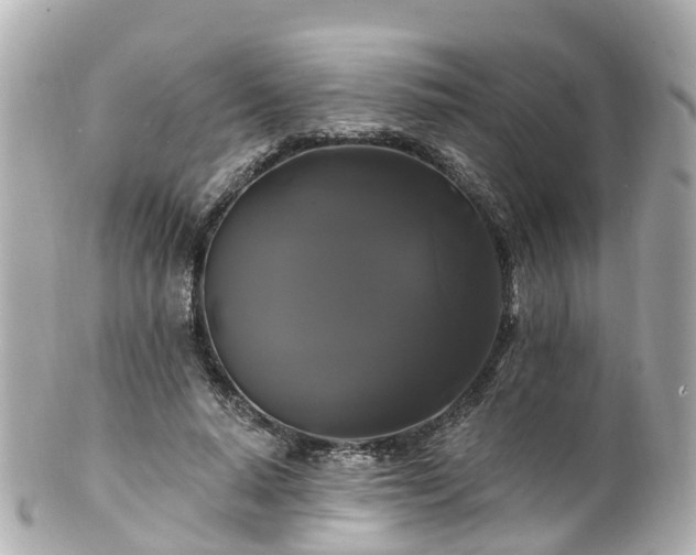 X0000100920640200807011307