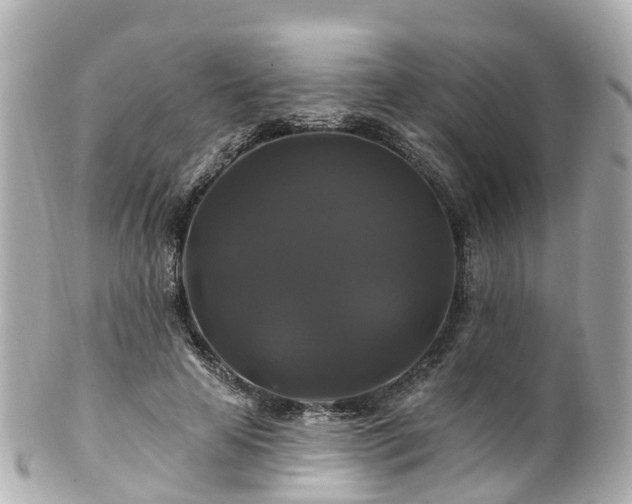 X0000100920641200807011307