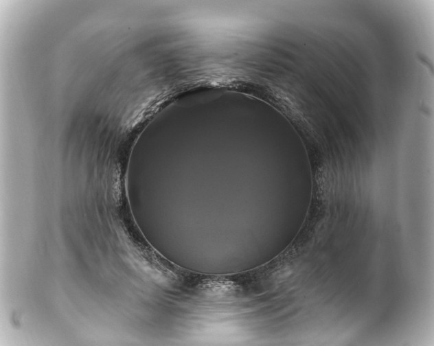 X0000100920642200807011307