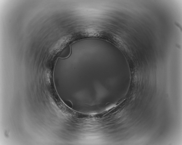 X0000100920643200807011307