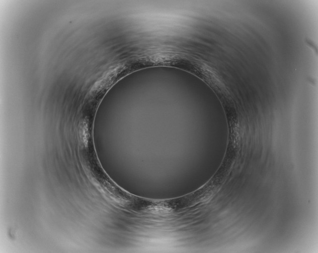 X0000100920644200807011307