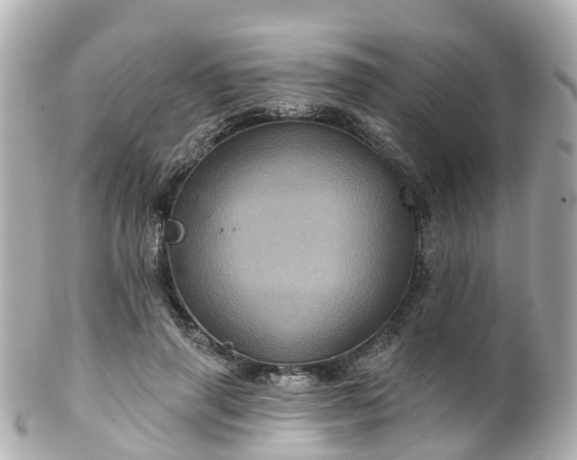 X0000100920645200807011307