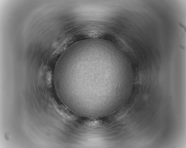 X0000100920646200807011308