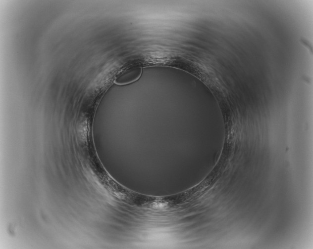 X0000100920647200807011308