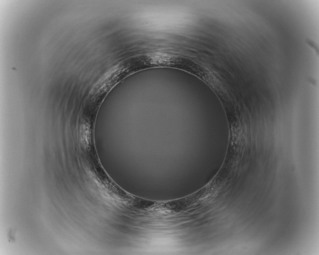 X0000100920648200807011308