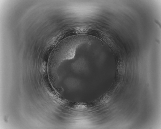 X0000100920649200807011308